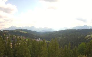Bukovina - Panorama - 30-07-2026 11:41