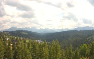 Bukovina - Panorama - 30-07-2026 12:09
