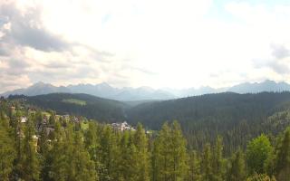 Bukovina - Panorama - 30-07-2026 12:23