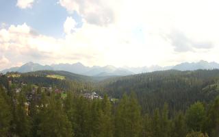 Bukovina - Panorama - 30-07-2026 13:05