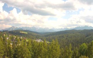 Bukovina - Panorama - 30-07-2026 14:37