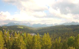 Bukovina - Panorama - 30-07-2026 16:30