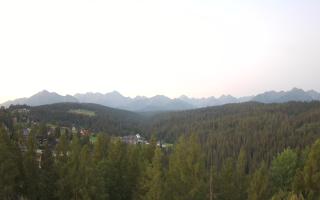 Bukovina - Panorama - 01-08-2026 02:52