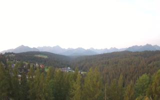 Bukovina - Panorama - 01-08-2026 02:59