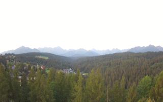 Bukovina - Panorama - 01-08-2026 03:06