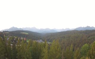 Bukovina - Panorama - 01-08-2026 03:13