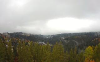Bukovina - Panorama - 26-10-2026 11:21