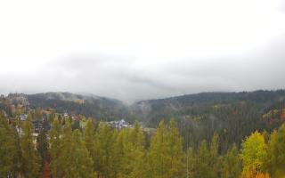 Bukovina - Panorama - 26-10-2026 11:42