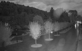 Krynica-Zdrój - Deptak - 02-08-2025 02:24