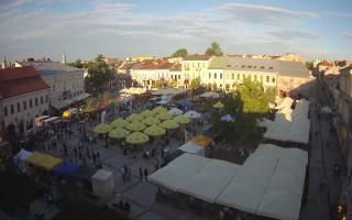 Kielce - 29-05-2026 17:23