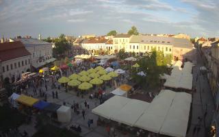 Kielce - 29-05-2026 17:33
