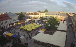 Kielce - 29-05-2026 17:44