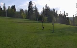 Jedrol Suche górna stacja - 02-05-2025 17:09