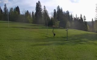 Jedrol Suche górna stacja - 02-05-2025 17:17