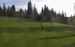 Jedrol Suche górna stacja - 02-05-2025 17:48