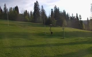 Jedrol Suche górna stacja - 02-05-2025 17:55