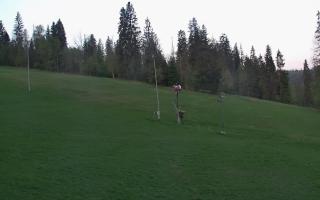 Jedrol Suche górna stacja - 03-05-2025 04:28