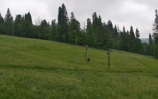 Jedrol Suche górna stacja - 17-06-2025 05:13