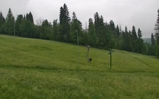 Jedrol Suche górna stacja - 17-06-2025 05:28
