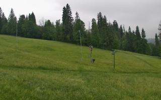 Jedrol Suche górna stacja - 17-06-2025 06:45
