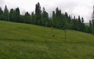 Jedrol Suche górna stacja - 17-06-2025 08:25
