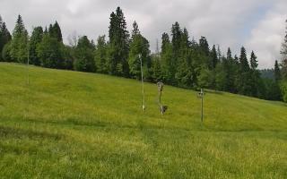 Jedrol Suche górna stacja - 17-06-2025 09:19