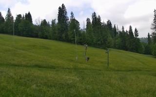 Jedrol Suche górna stacja - 17-06-2025 09:35