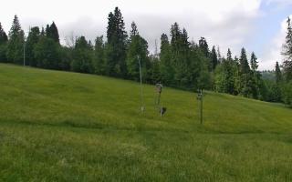 Jedrol Suche górna stacja - 17-06-2025 09:50