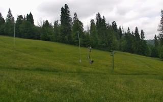 Jedrol Suche górna stacja - 17-06-2025 10:13