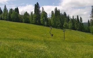 Jedrol Suche górna stacja - 17-06-2025 10:52