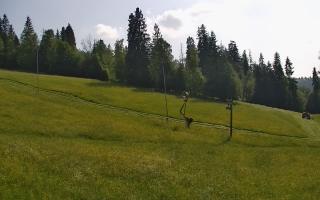 Jedrol Suche górna stacja - 17-06-2025 15:14