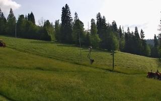 Jedrol Suche górna stacja - 17-06-2025 15:45