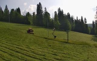 Jedrol Suche górna stacja - 17-06-2025 16:00