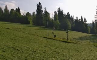 Jedrol Suche górna stacja - 17-06-2025 16:47