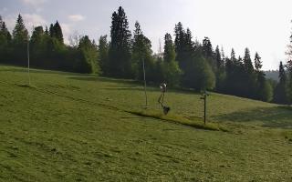 Jedrol Suche górna stacja - 17-06-2025 16:54