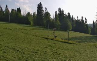 Jedrol Suche górna stacja - 17-06-2025 17:10