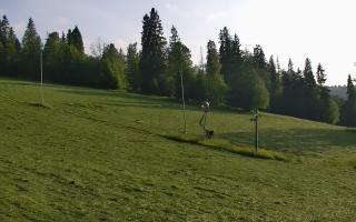 Jedrol Suche górna stacja - 17-06-2025 17:33