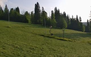 Jedrol Suche górna stacja - 17-06-2025 17:41