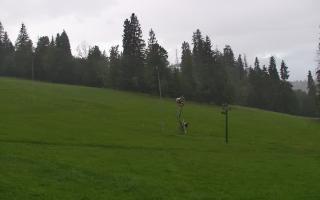Jedrol Suche górna stacja - 02-08-2025 04:46