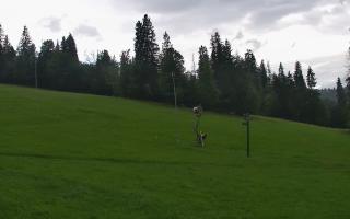 Jedrol Suche górna stacja - 02-08-2025 06:49