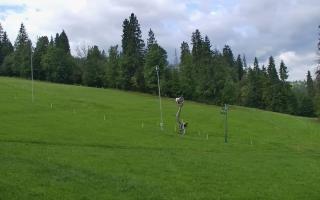 Jedrol Suche górna stacja - 02-08-2025 07:28