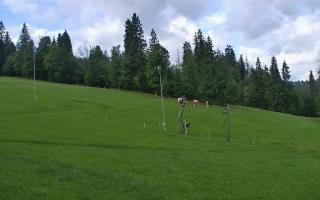 Jedrol Suche górna stacja - 02-08-2025 07:35