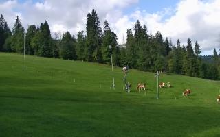 Jedrol Suche górna stacja - 02-08-2025 07:51