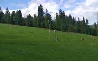 Jedrol Suche górna stacja - 02-08-2025 07:58