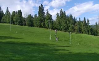 Jedrol Suche górna stacja - 02-08-2025 08:22
