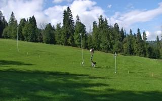 Jedrol Suche górna stacja - 02-08-2025 08:29
