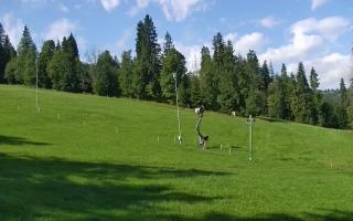 Jedrol Suche górna stacja - 02-08-2025 08:45