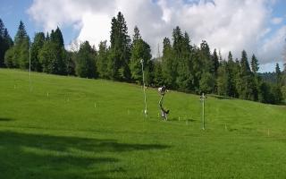 Jedrol Suche górna stacja - 02-08-2025 09:08