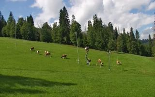 Jedrol Suche górna stacja - 02-08-2025 09:31