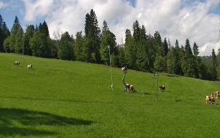 Jedrol Suche górna stacja - 02-08-2025 09:39